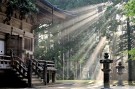 GIAPPONE